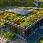 Žaliųjų stogų įrengimas: tipai, sluoksniai, nauda ir kainos 2026