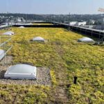 Flat Roofs: Modern Solutions and Why People Choose Them